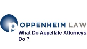 What Do Appellate Attorneys Do?