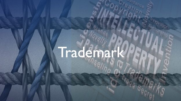 Trademark Portfolio Auditing Services