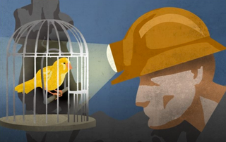 canary in coal mine